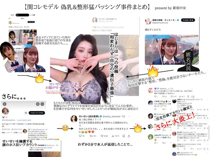 As a result of appealing to the gal fashion magazine 'nuts' exclusive model 'Seisei' aka Seika Tamukai 'Gene Strongest' and big breasts, jealous people make a fuss www 2th image